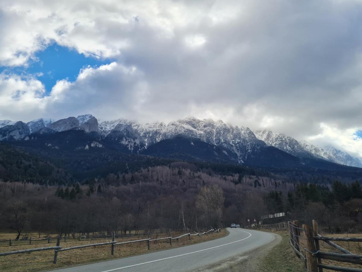 Pensiunea Kyfana Zărneşti Extérieur photo