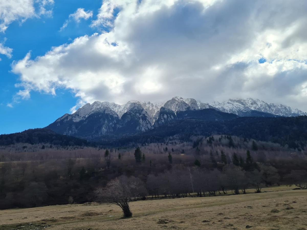 Pensiunea Kyfana Zărneşti Extérieur photo