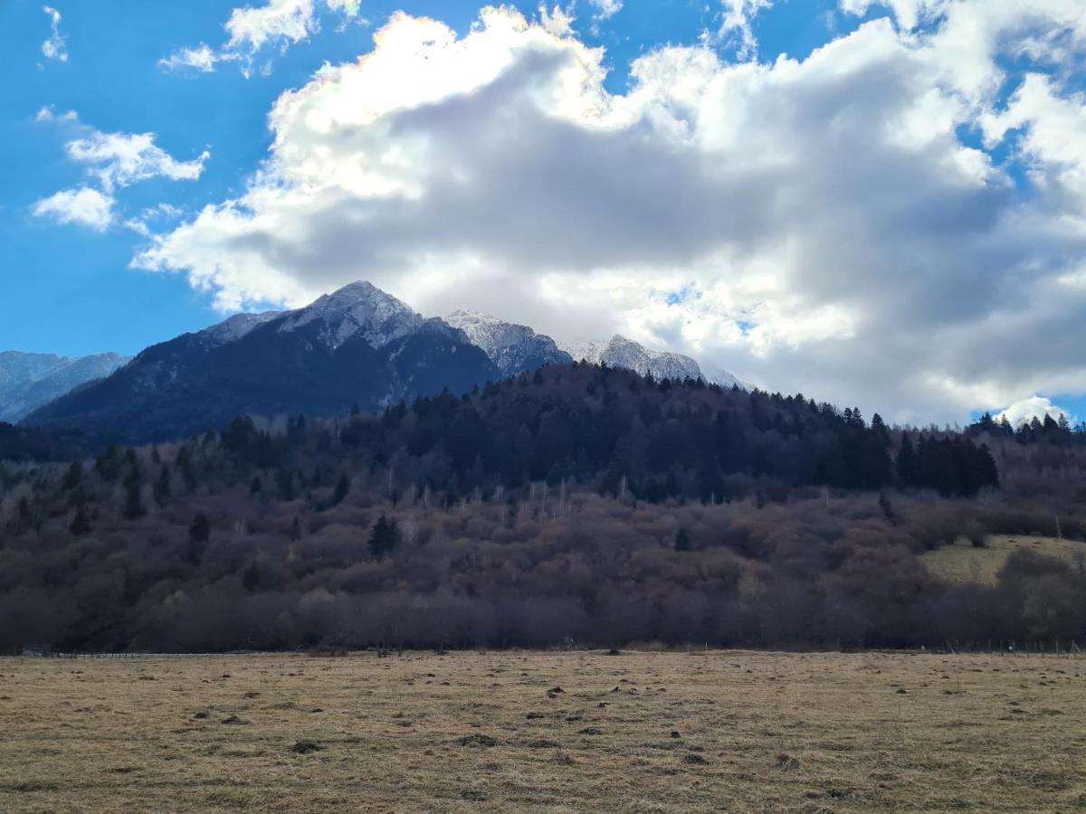 Pensiunea Kyfana Zărneşti Extérieur photo
