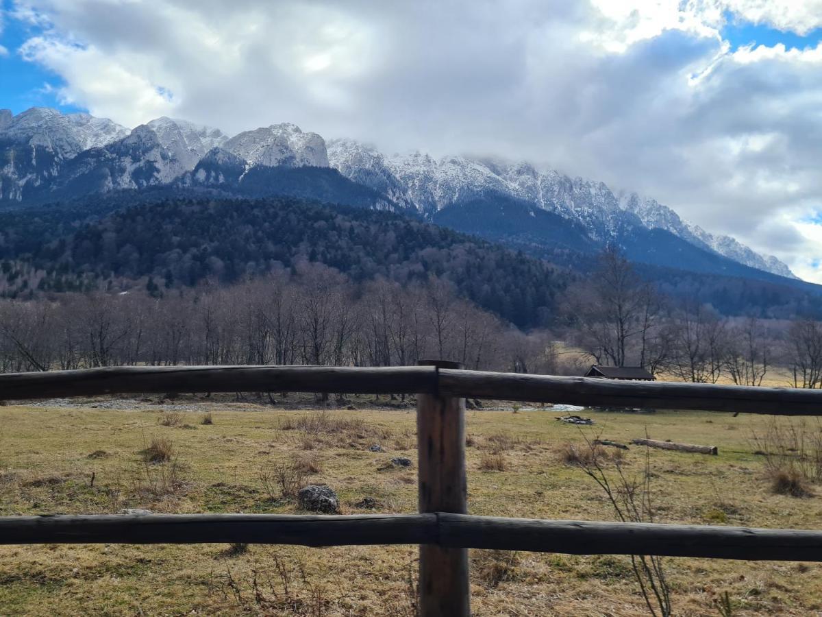 Pensiunea Kyfana Zărneşti Extérieur photo