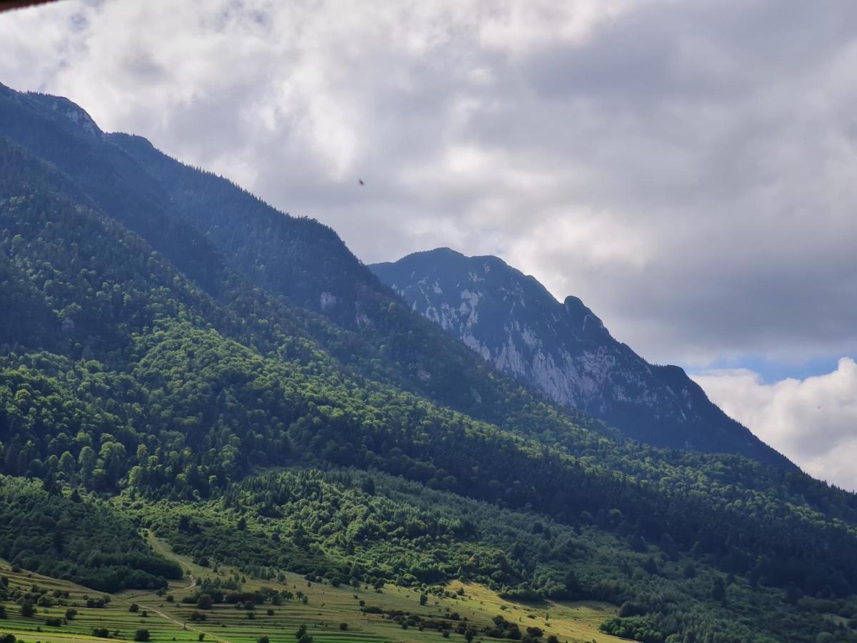 Pensiunea Kyfana Zărneşti Extérieur photo