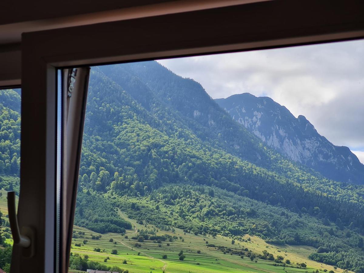Pensiunea Kyfana Zărneşti Extérieur photo