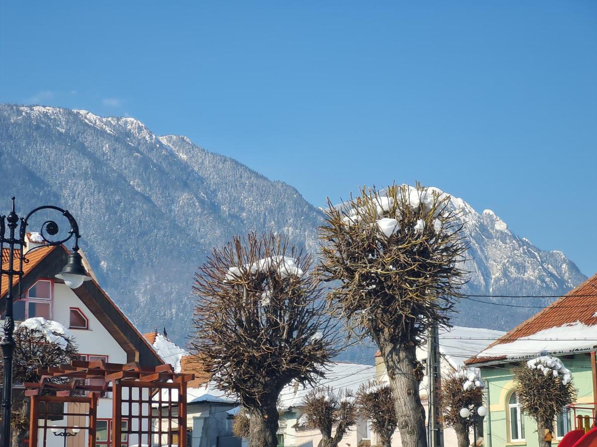 Pensiunea Kyfana Zărneşti Extérieur photo