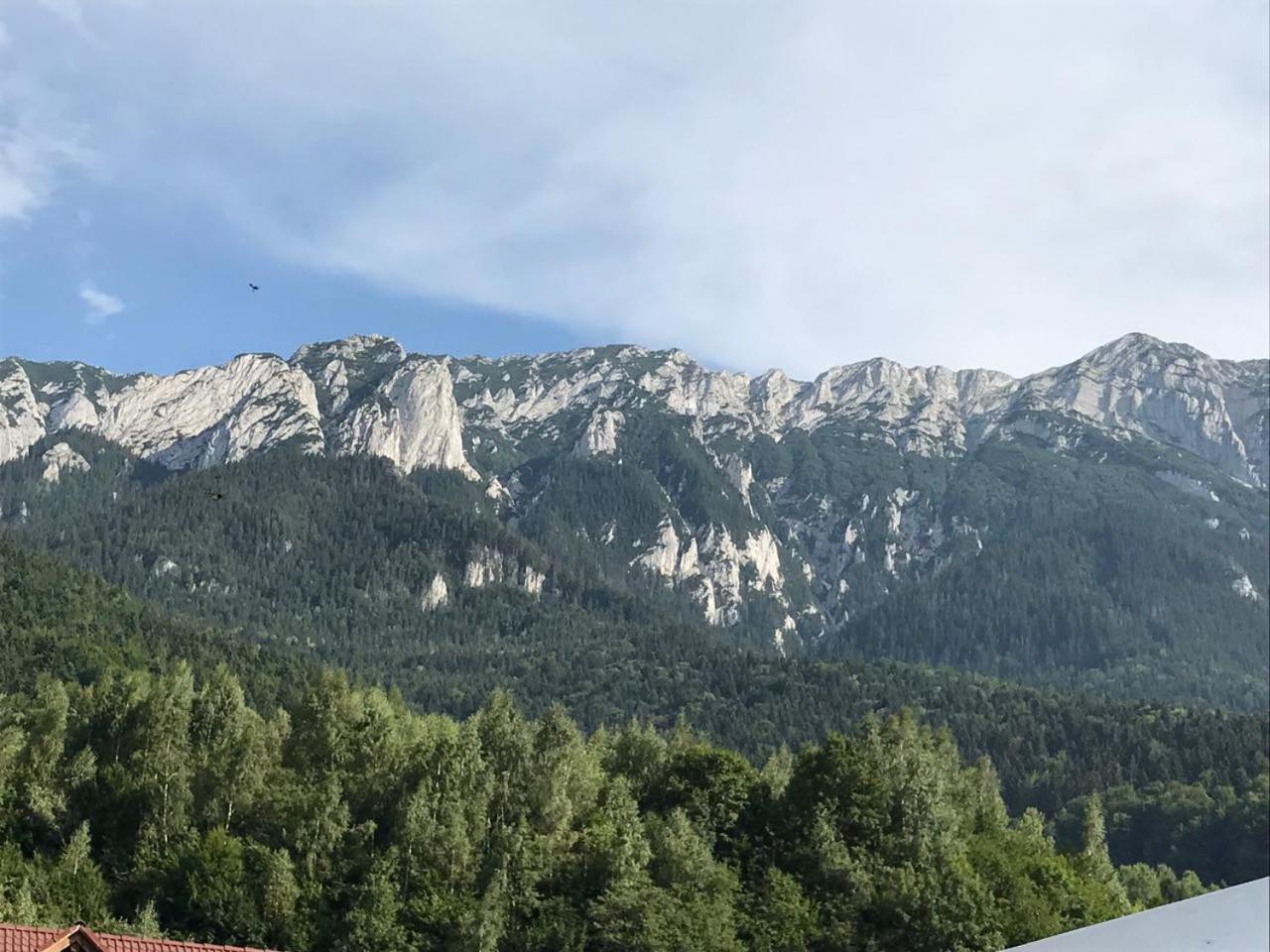 Pensiunea Kyfana Zărneşti Extérieur photo