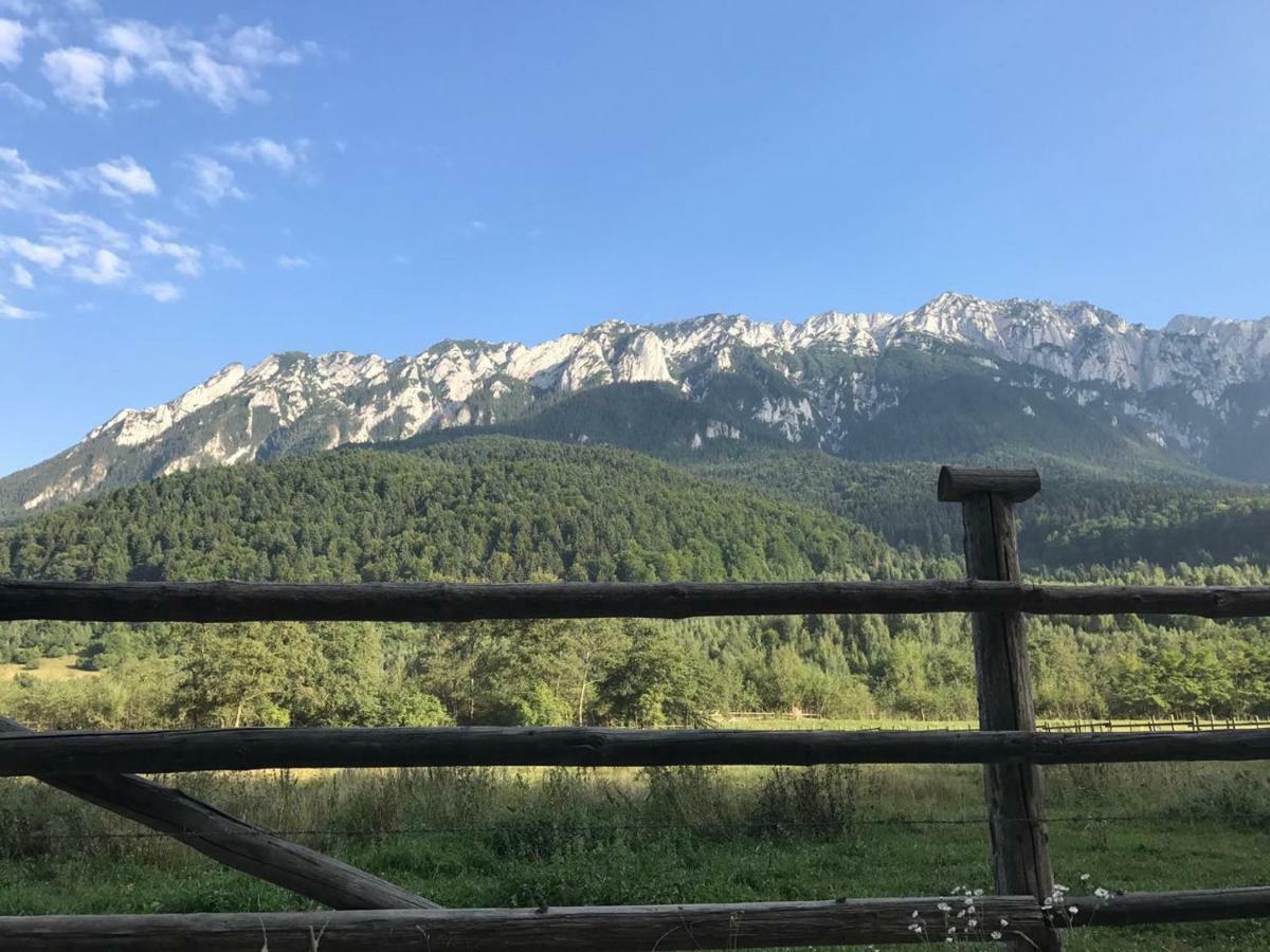 Pensiunea Kyfana Zărneşti Extérieur photo